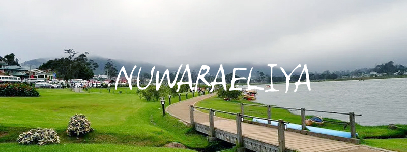 Nuwara Eliya - Cool Climate